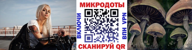 Псилоцибиновые грибы Cubensis  Тобольск 