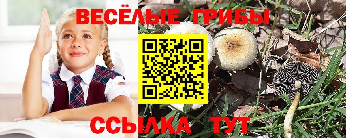 Псилоцибиновые грибы мухоморы  Вход с VPN  Тобольск 